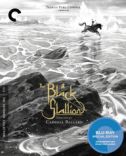 The Black Stallion Blu-ray
