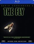 The Fly